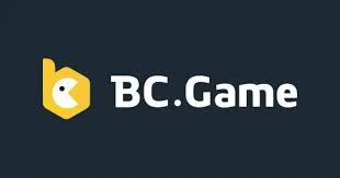 Understanding the Privacy Policy of BC.Game -810692573 Understanding the Privacy Policy of BC.Game -810692573